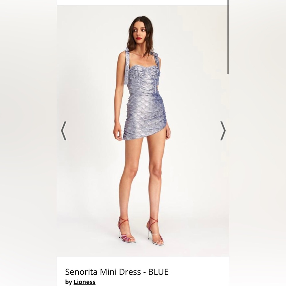 LIONESS dress